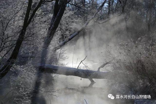 内蒙古，冰情雪韵，冷文化带热当地经济