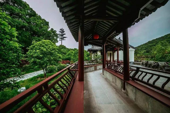 果子狸闯入曲靖一村民家中，龇牙咧嘴，吓坏村民！